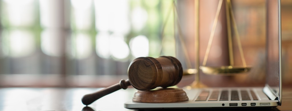 Litigation and Legal Update for January 2025 – Actualización de legajos de derechos&nbsp;civiles